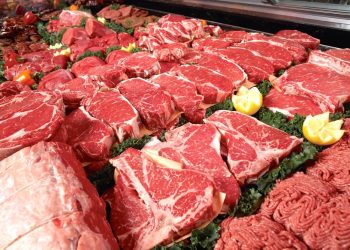 beef-meat-display marketing stock image